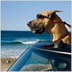 Marmaduke : photo