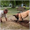 Marmaduke : photo