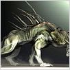 Predators : photo