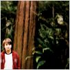 Siempre a mi lado (Charlie St. Cloud) : photo Amanda Crew, Burr Steers, Zac Efron