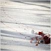 Zombis Nazis : photo