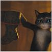 El gato con botas : photo Chris Miller, Chris Miller (II)
