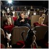 El gato con botas : photo Antonio Banderas, Chris Miller, Chris Miller (II)