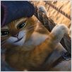 El gato con botas : photo Chris Miller, Chris Miller (II)