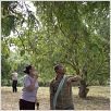 Uncle Boonmee recuerda sus vidas pasadas : photo Apichatpong Weerasethakul