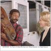 Secretariat : photo