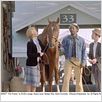 Secretariat : photo