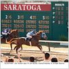 Secretariat : photo