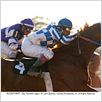 Secretariat : photo