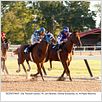 Secretariat : photo