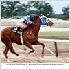 Secretariat : photo