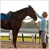 Secretariat : photo
