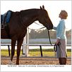 Secretariat : photo