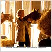 Secretariat : photo