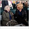 Secretariat : photo
