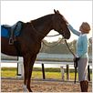 Secretariat : photo Diane Lane, Randall Wallace