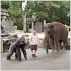 Zooloco : photo Frank Coraci, Kevin James