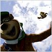 El oso Yogui : photo Eric Brevig