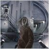 Hanna : photo Joe Wright, Saoirse Ronan