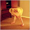 El futuro : photo Miranda July