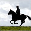 War Horse (Caballo de batalla) : photo Jeremy Irvine, Steven Spielberg