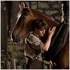 War Horse (Caballo de batalla) : photo Jeremy Irvine, Steven Spielberg