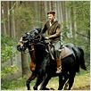 War Horse (Caballo de batalla) : photo David Kross, Steven Spielberg
