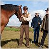 War Horse (Caballo de batalla) : photo Jeremy Irvine, Steven Spielberg
