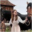 War Horse (Caballo de batalla) : photo Celine Buckens, Steven Spielberg