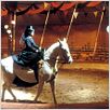 Ludwig (Luis II de Baviera) : photo