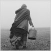 The Turin horse : photo