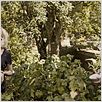Melancolía : photo Charlotte Gainsbourg, Kirsten Dunst, Lars von Trier