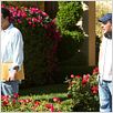 Jack y su gemela : photo Adam Sandler, Dennis Dugan