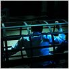 Saw VII 3D : photo