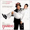 Os declaro marido y marido : poster