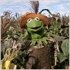 The Muppets' Wizard of Oz : photo