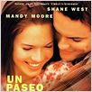 Un paseo para recordar : poster