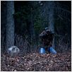 The Frozen Ground : photo