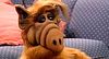 ¿Volverá el mítico ALF a la televisión en forma de 'reboot'?