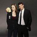 Foto : Bones