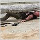 The Walking Dead : photo Michael Rooker