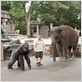 Zooloco : photo Frank Coraci, Kevin James