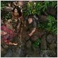 Viaje al centro de la Tierra 2: La isla misteriosa : photo Brad Peyton, Josh Hutcherson, Luis Guzman, Vanessa Hudgens