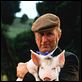 Babe, el cerdito en la ciudad : photo George Miller, James Cromwell