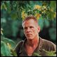 La delgada línea roja : photo Nick Nolte, Terrence Malick