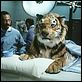 Dr. Dollitle : photo Betty Thomas, Eddie Murphy