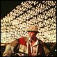 Miedo y asco en Las Vegas : photo Johnny Depp, Terry Gilliam