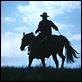 El hombre que susurraba a los caballos : photo Robert Redford