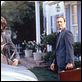 American Beauty