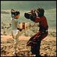 Tigre y Dragón : photo Ang Lee
